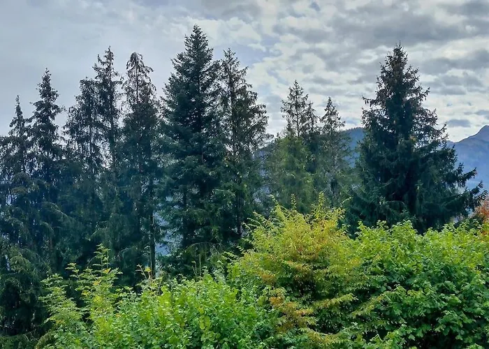 Studio -Zen In Nature-