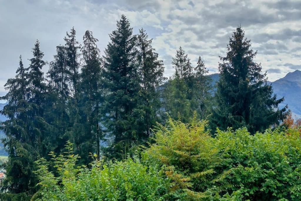 -zen In Nature- *